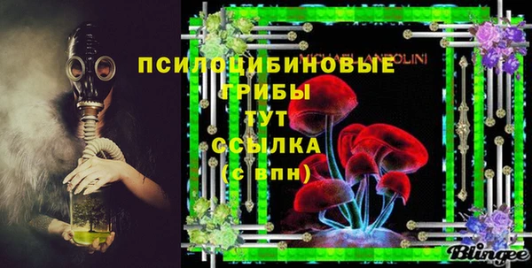 герыч Туринск